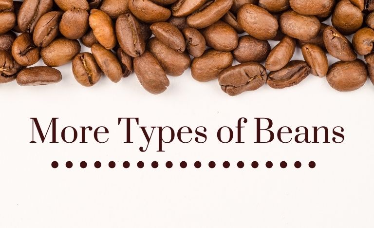 More Types of Beans
