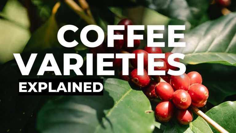Coffee Varieties: Arabica